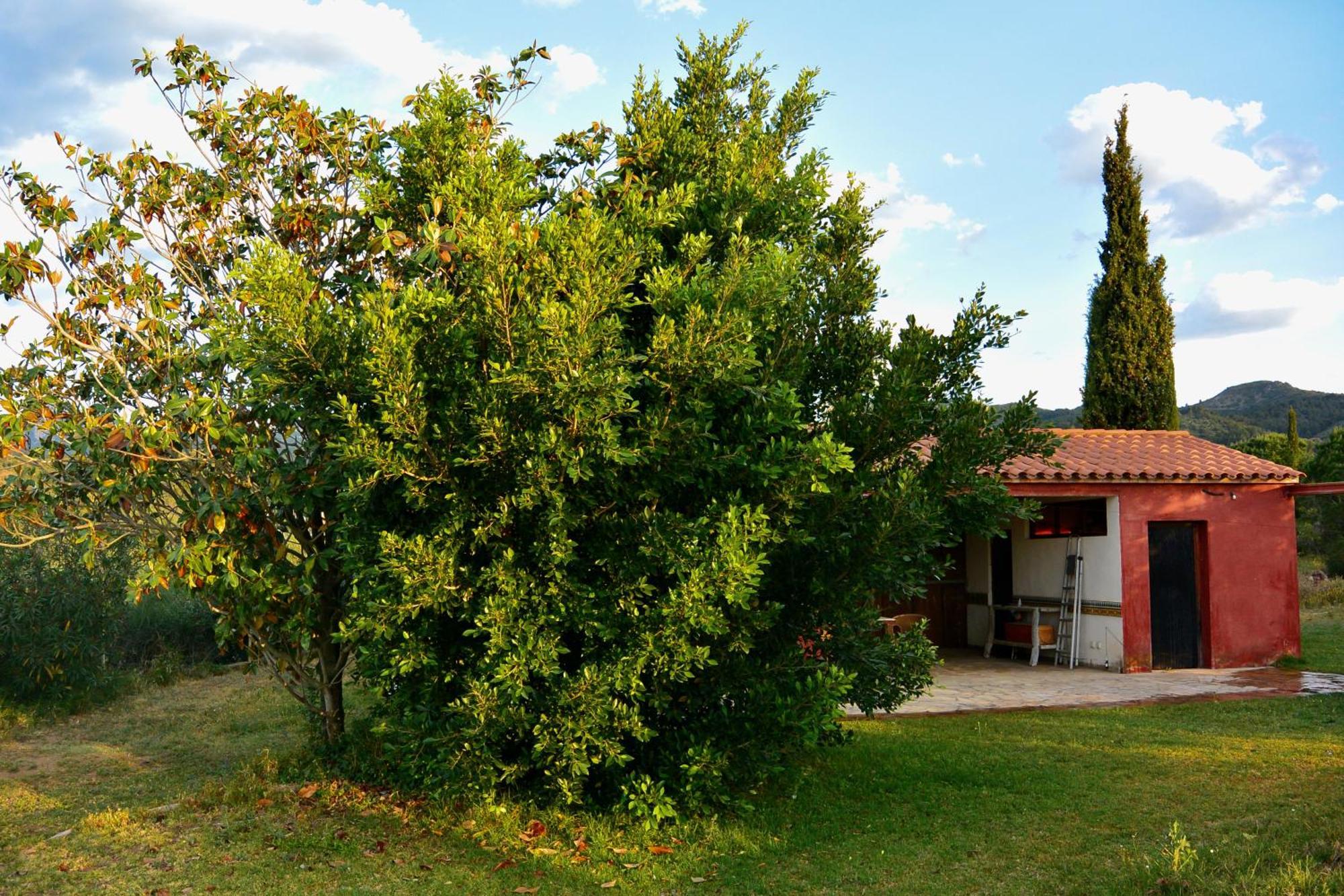 דירות Vilanova de Escornalbou L'Albaida, Tranquility, Views Of Sea And Mountains חדר תמונה
