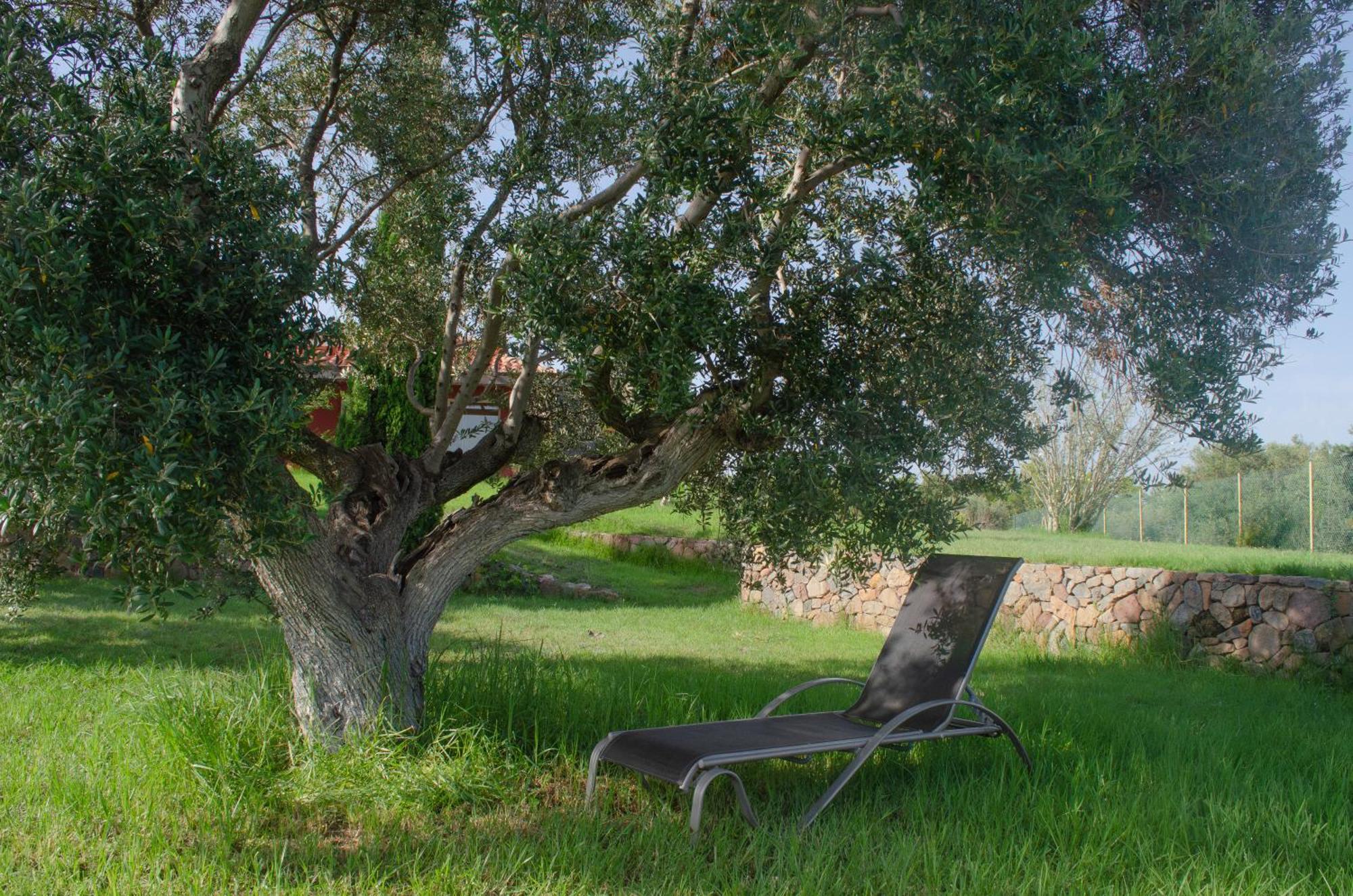 דירות Vilanova de Escornalbou L'Albaida, Tranquility, Views Of Sea And Mountains מראה חיצוני תמונה
